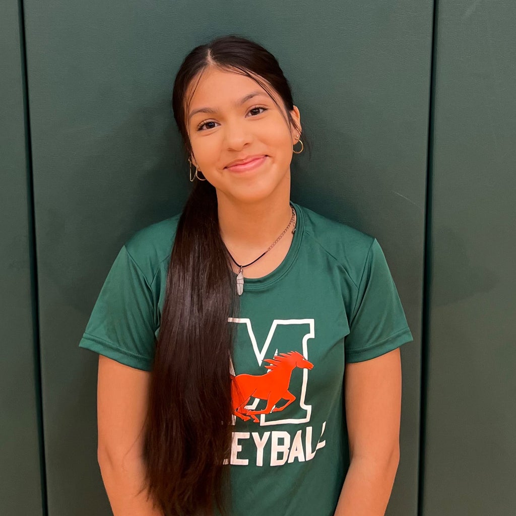 Sarahi Castillo mugshot