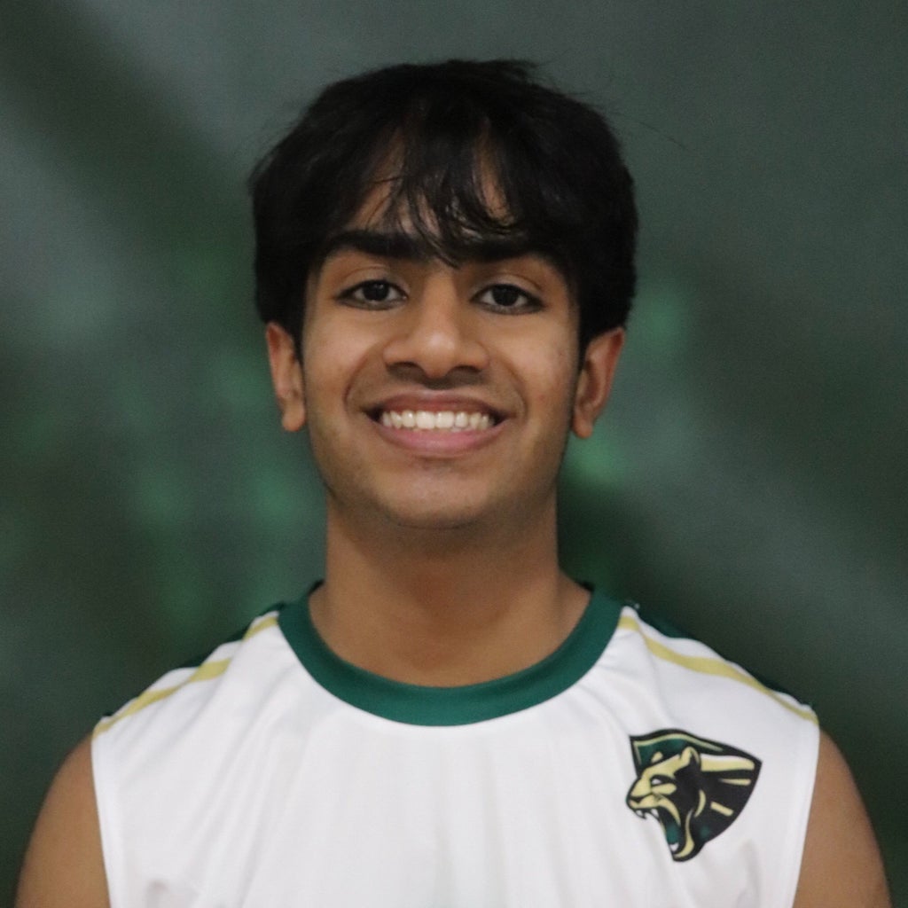 Likith Tipirneni mugshot