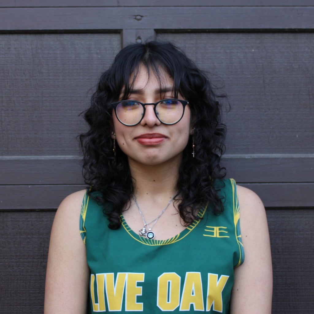 Heysell Guerrero mugshot