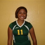 Alyson Johnson mugshot