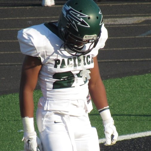 Michael Johnson iii