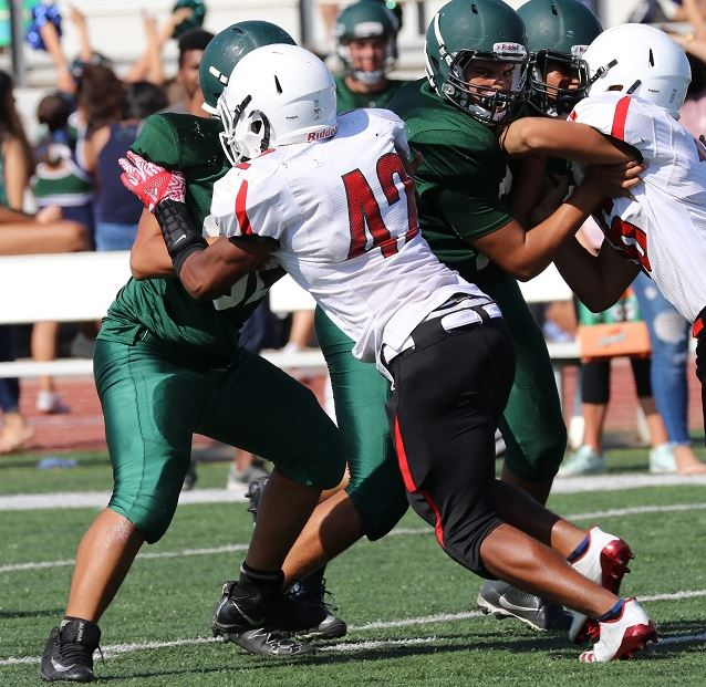 Michael Rosales mugshot