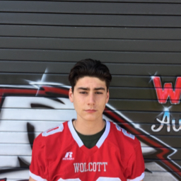 Matt Amedeo mugshot