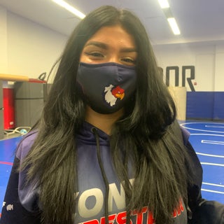 Vanessa Torres mugshot