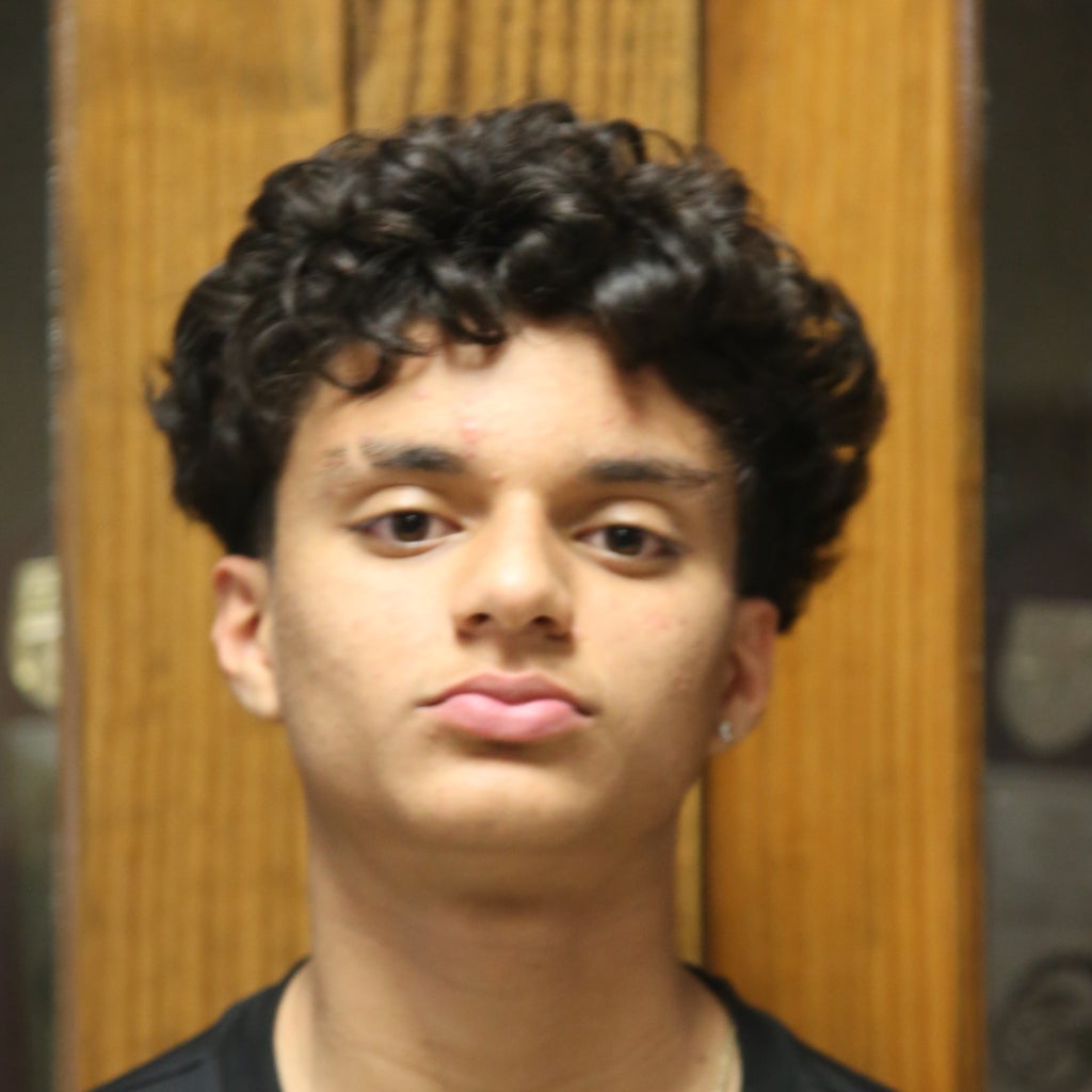 Sabastian  Silva mugshot