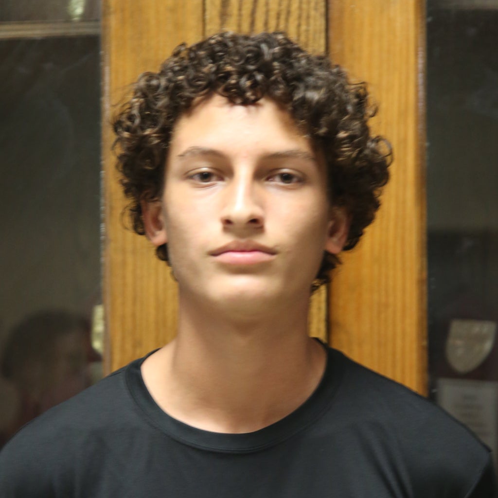 Breno  Sathler mugshot