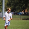 B. Schoenherr