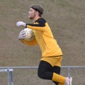 C. Collins