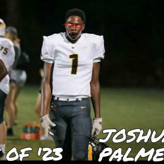 Joshua Palmer