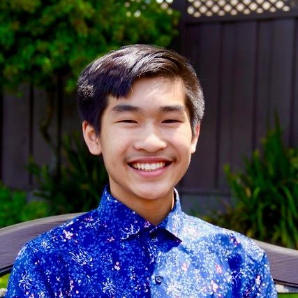 Savio Nguyen mugshot