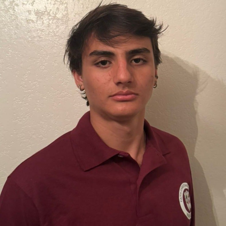 Erick Silva mugshot