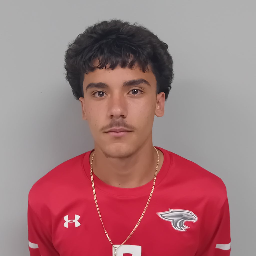 Ronnyell Mercado mugshot