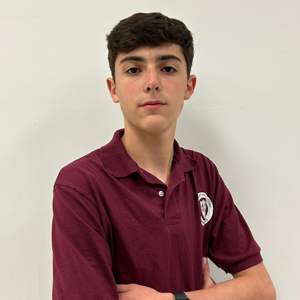 Vinicius Orfaly mugshot