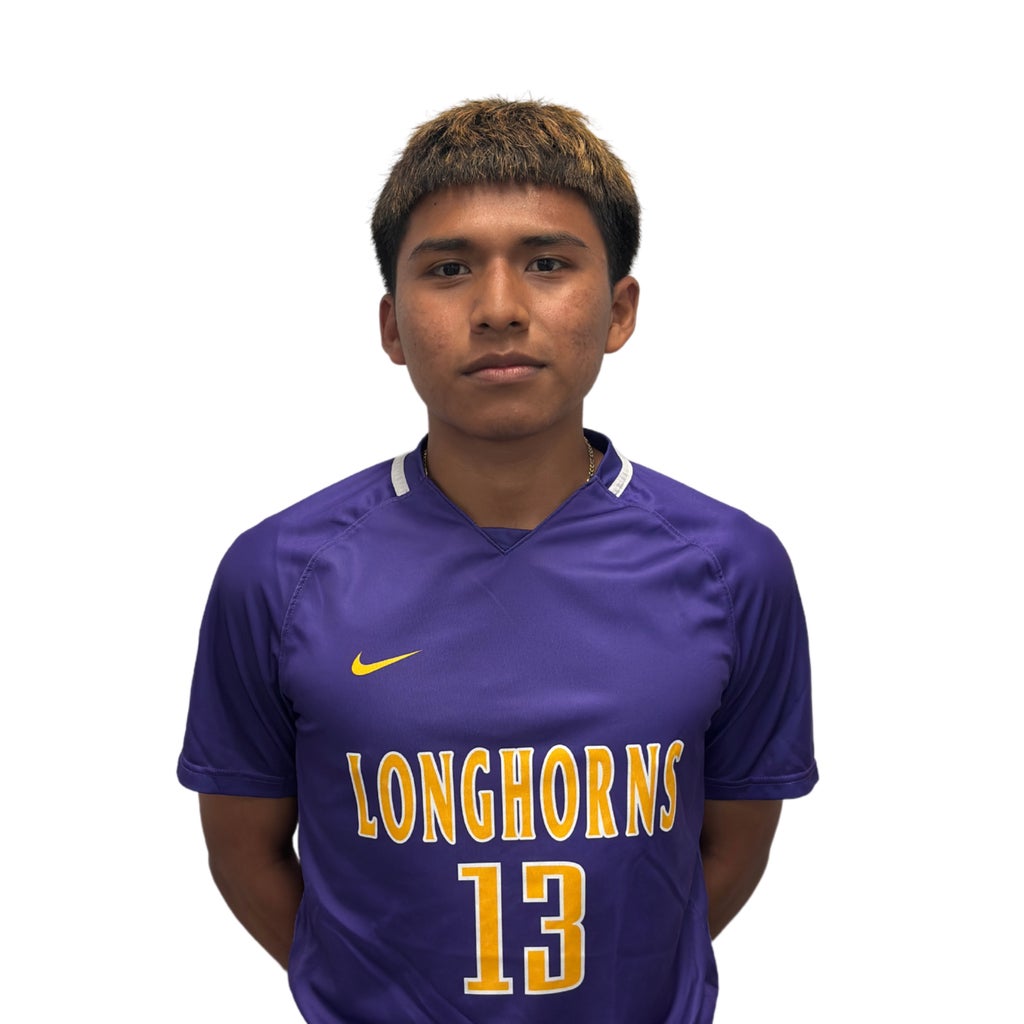 Luis Mendoza mugshot