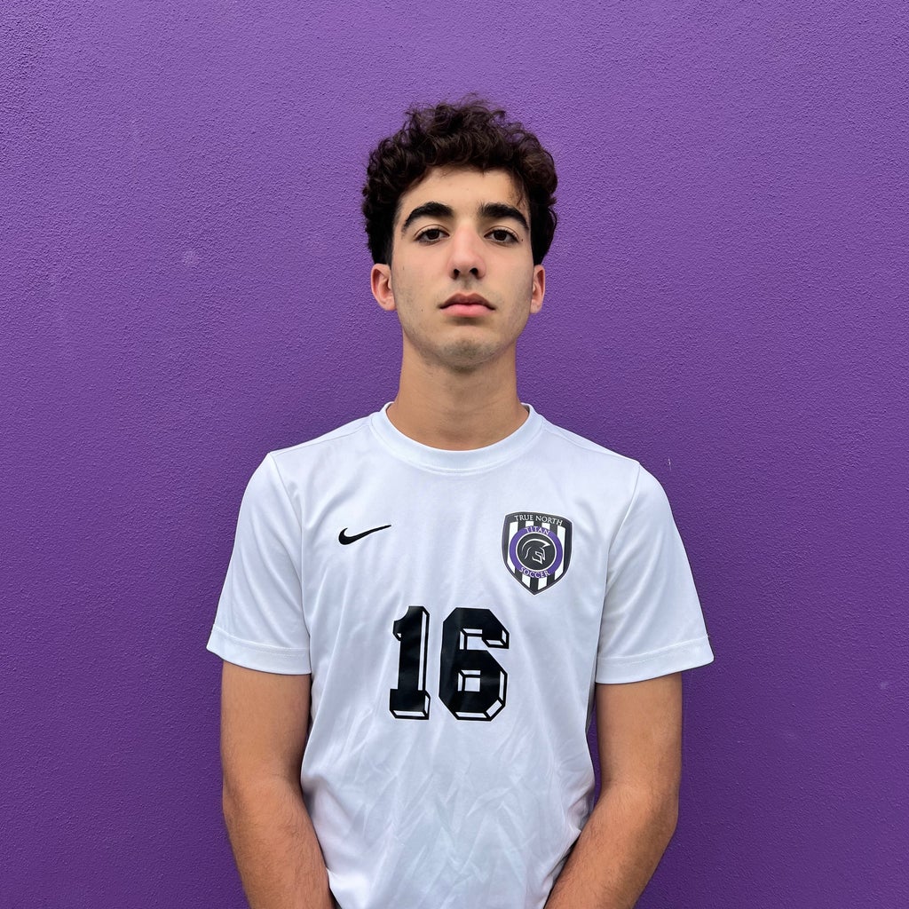 Milad Farajzadeh mugshot