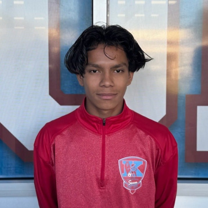 LUIS TREMINIO mugshot