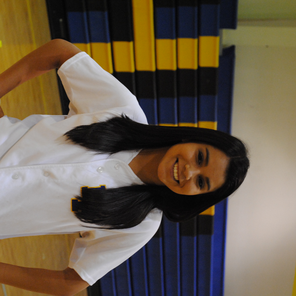 Priscilla  Castillo mugshot
