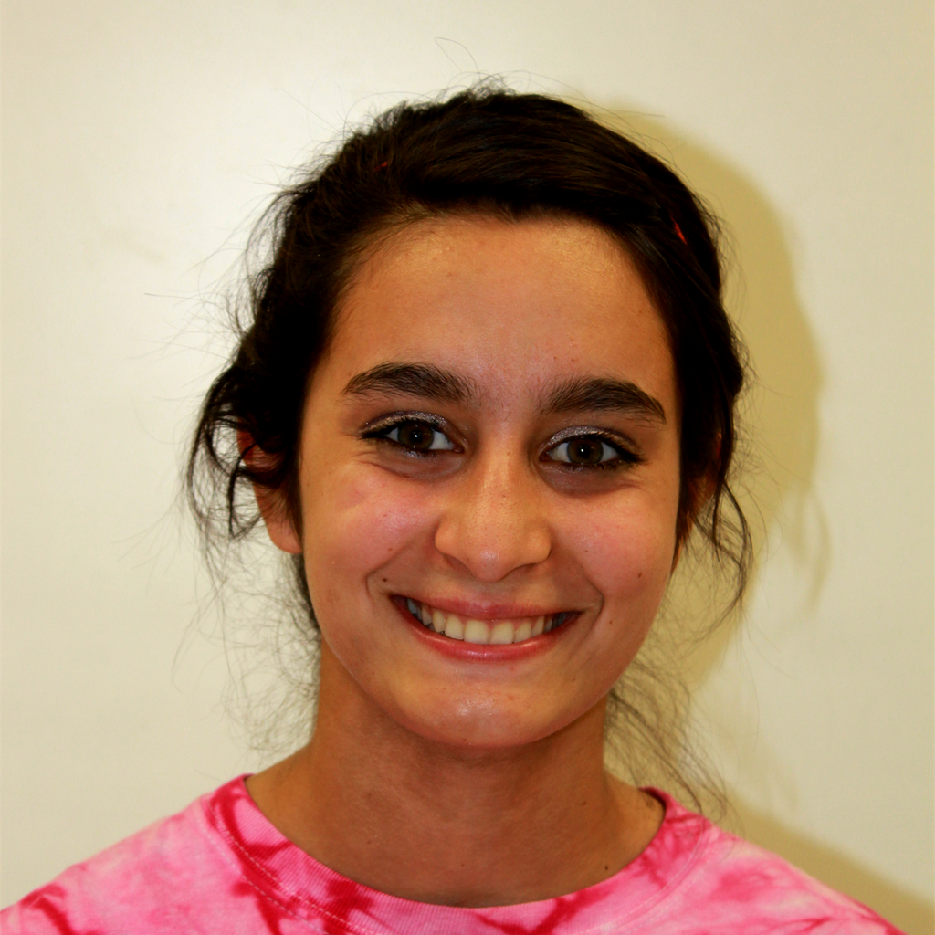 Ana Ambroson mugshot