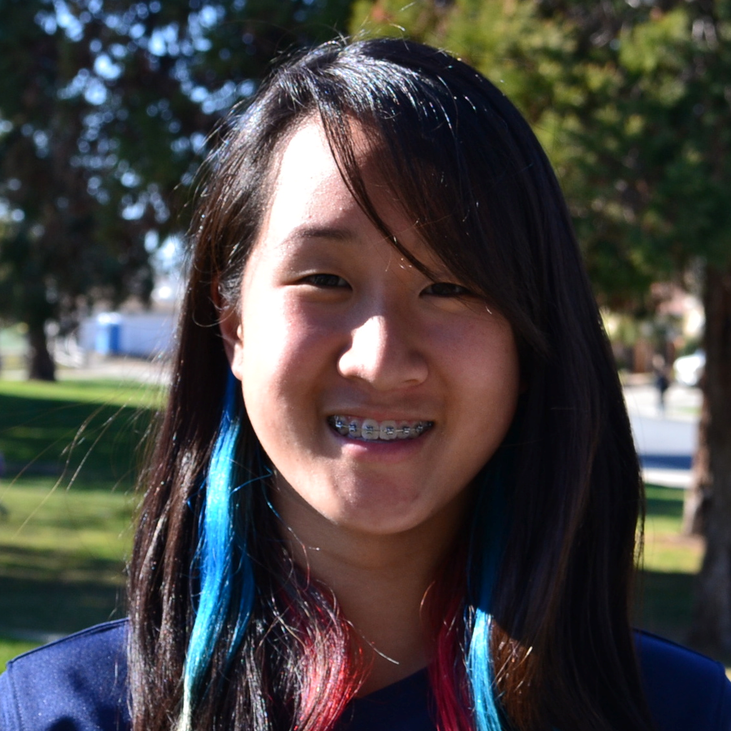 Helen Li mugshot