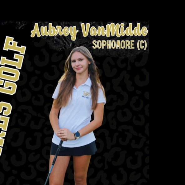 Aubrey Vanmidde mugshot