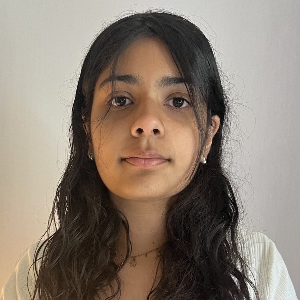 Anika Avishek mugshot