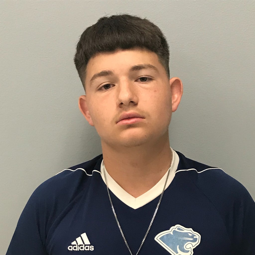 Anthony  Brozell mugshot