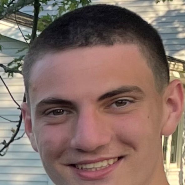 Luka Sunjevaric mugshot
