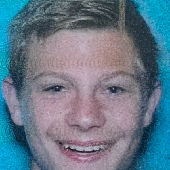 Noah Stein mugshot