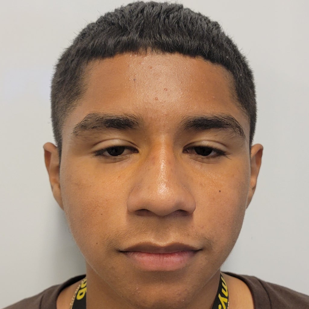 HECTOR FLORES mugshot