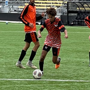 Matt Shahata
