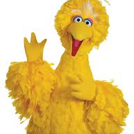 Zoe "Big Bird" Herron mugshot