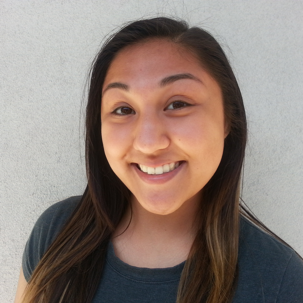 Monica Chapa mugshot