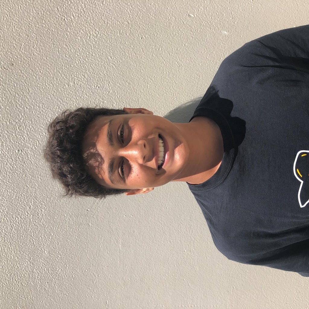 Arvin Badawy mugshot