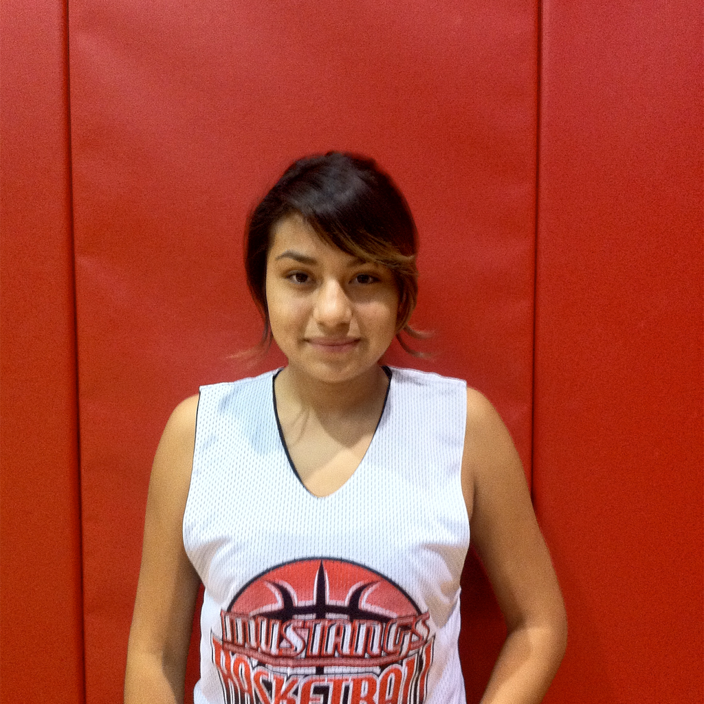 Vanessa  Hernandez mugshot