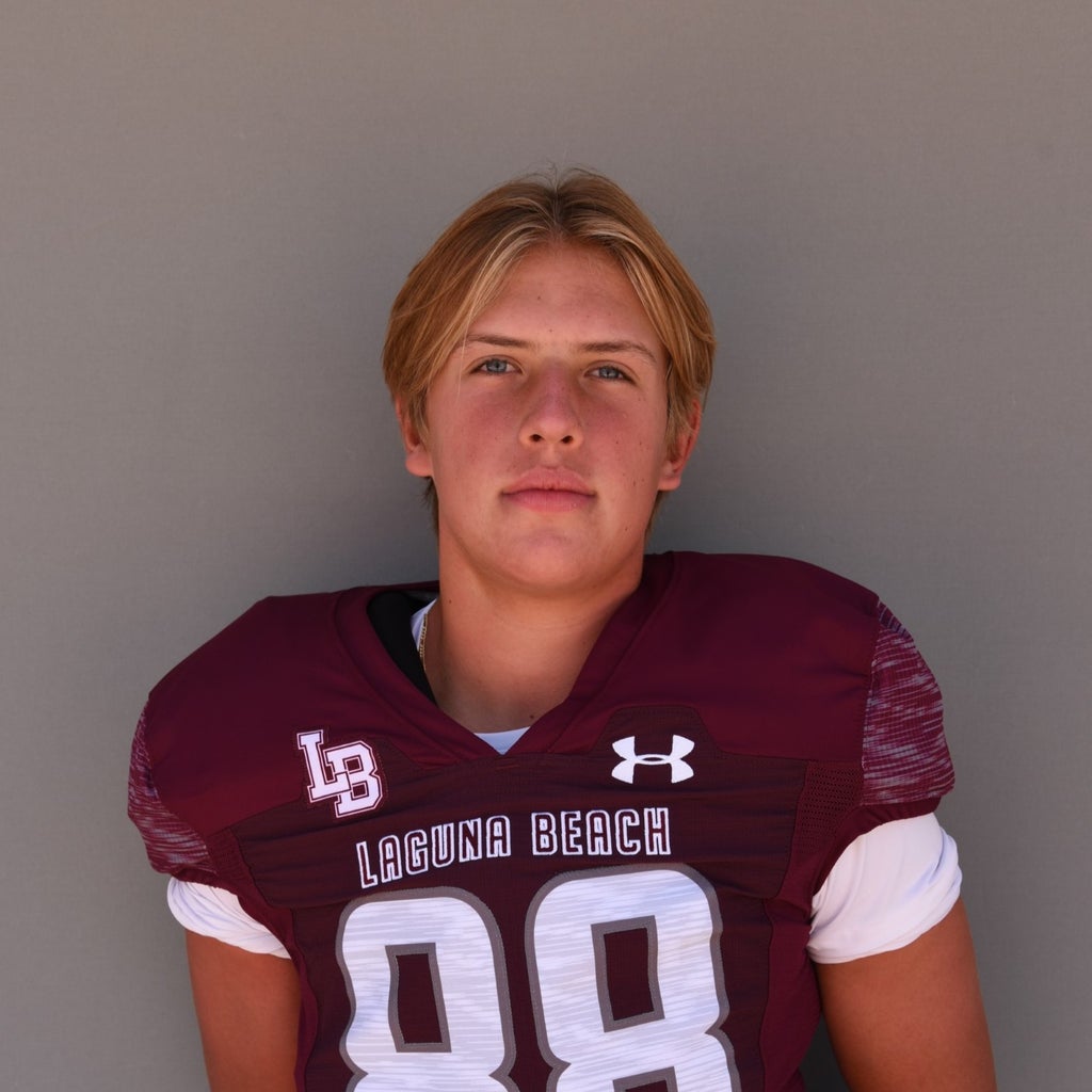 Hudson Mills mugshot