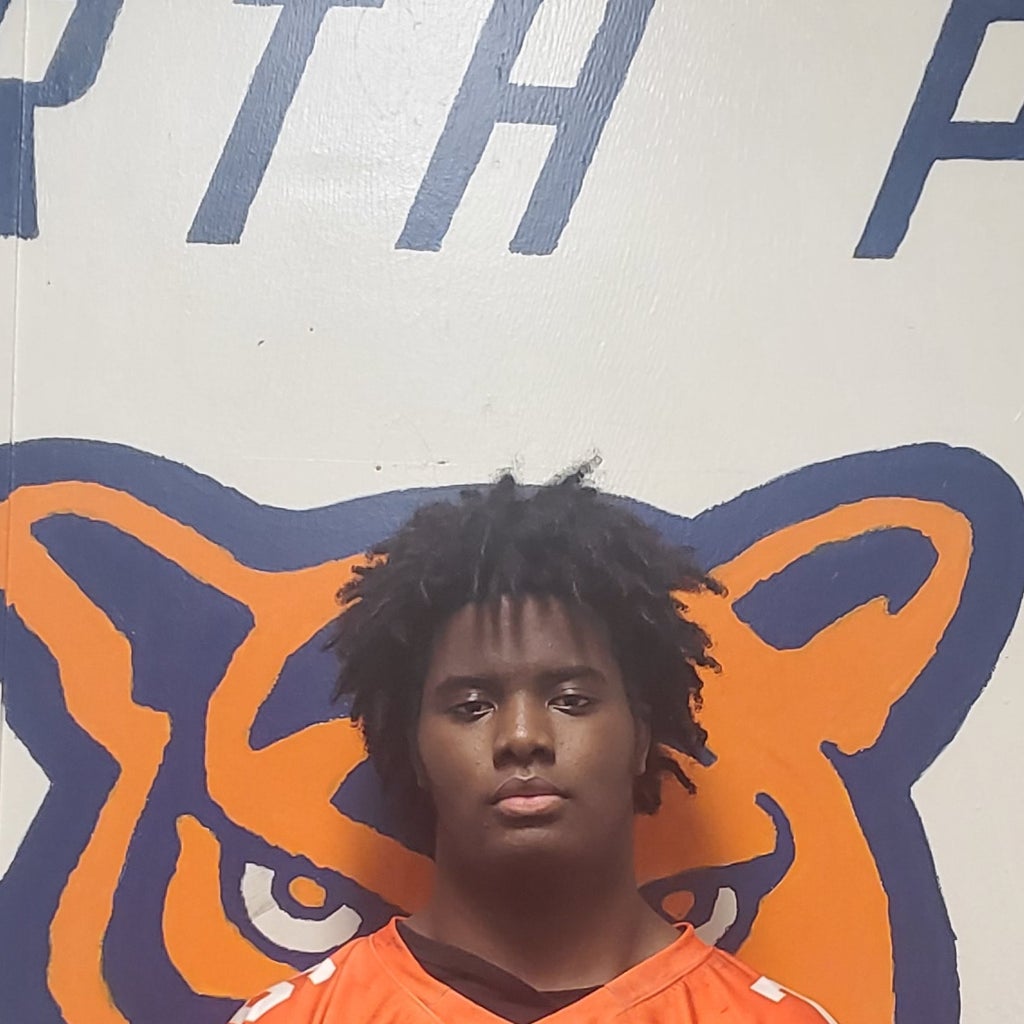 Jaycion  Norris mugshot