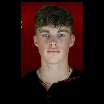 Brady Reese mugshot