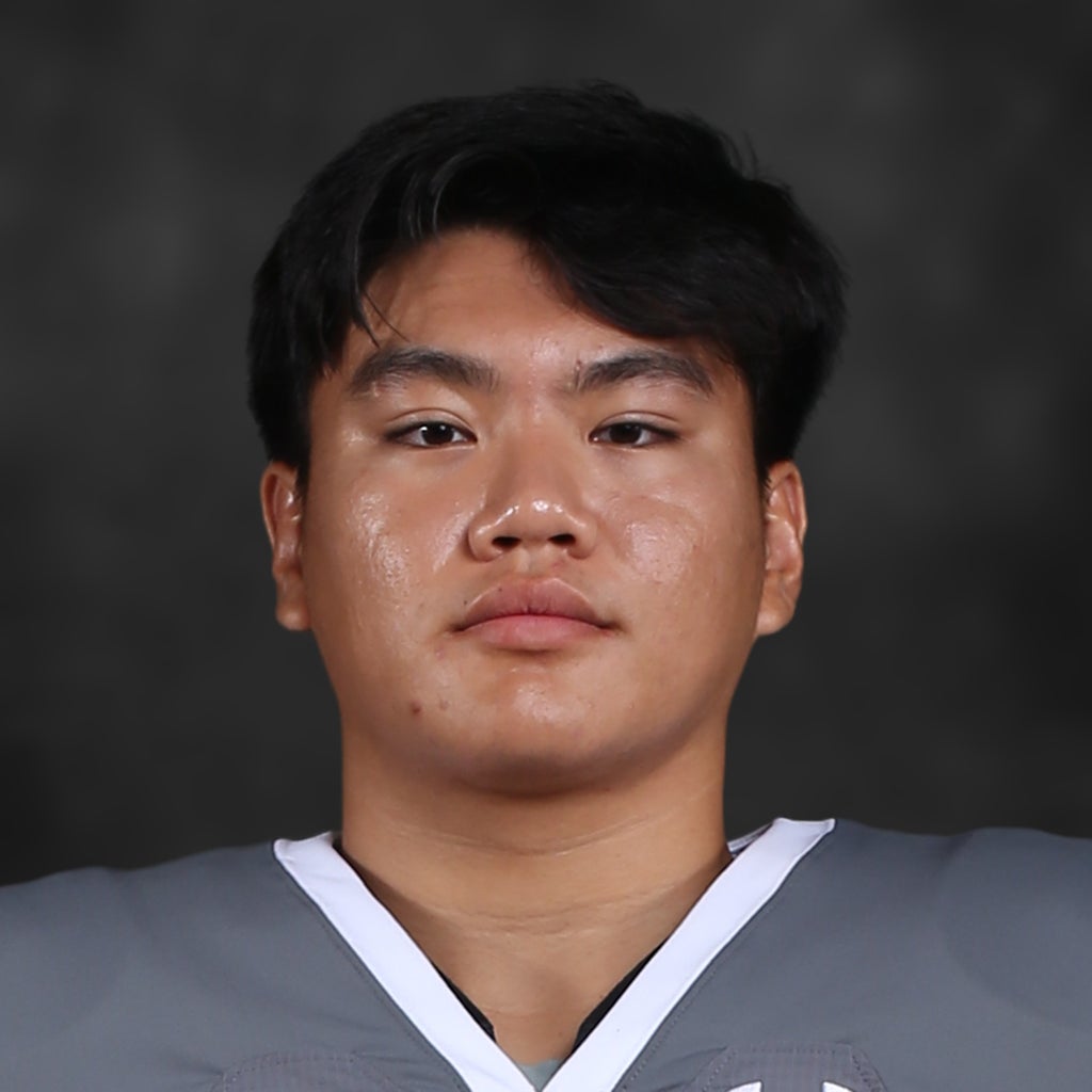 Nathan Vu mugshot
