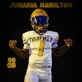 J. Hamilton