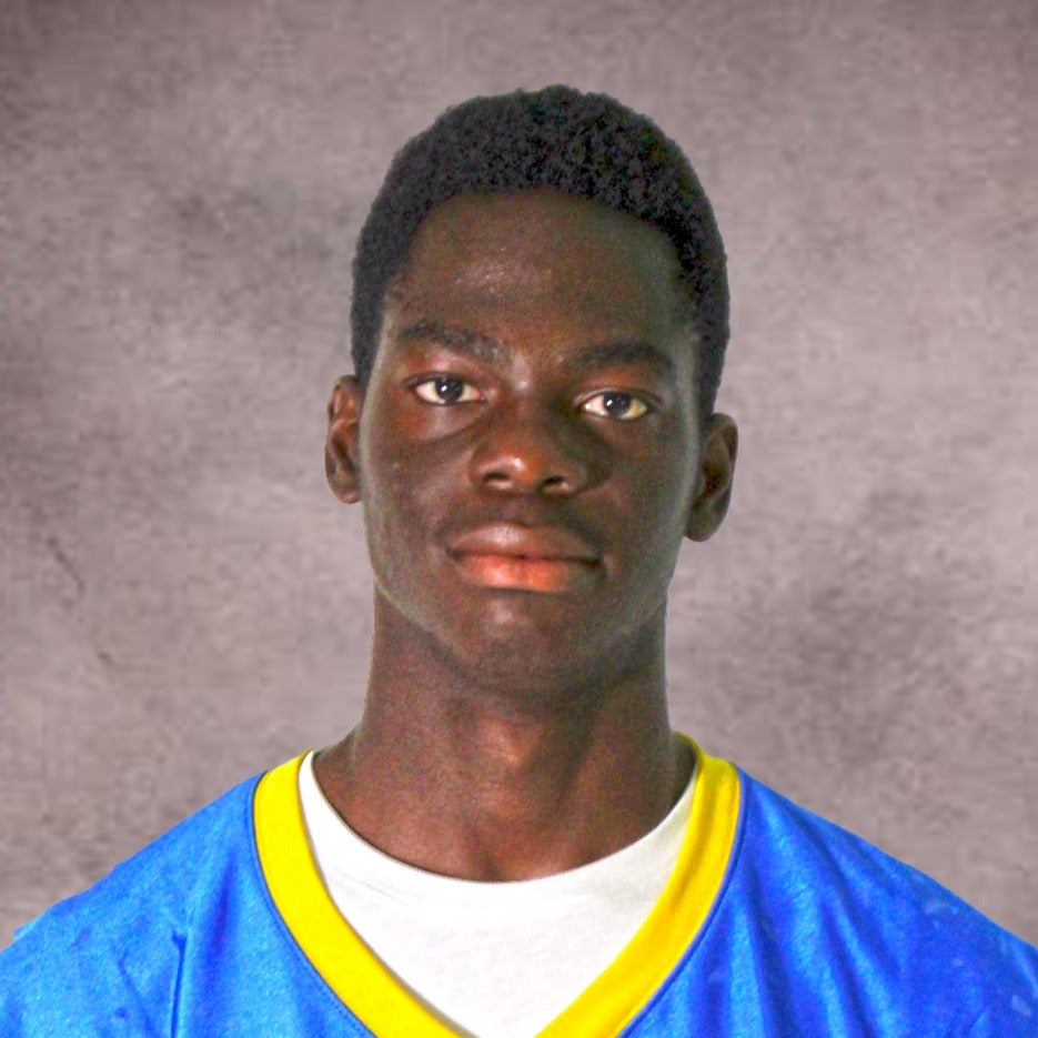 Fabbianho Lous Jeune mugshot