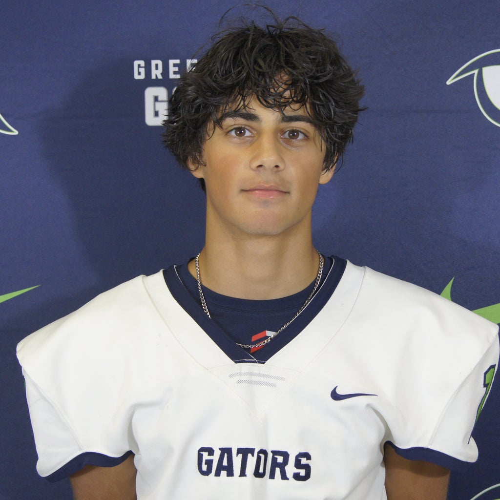 Ibrahim Viqas mugshot