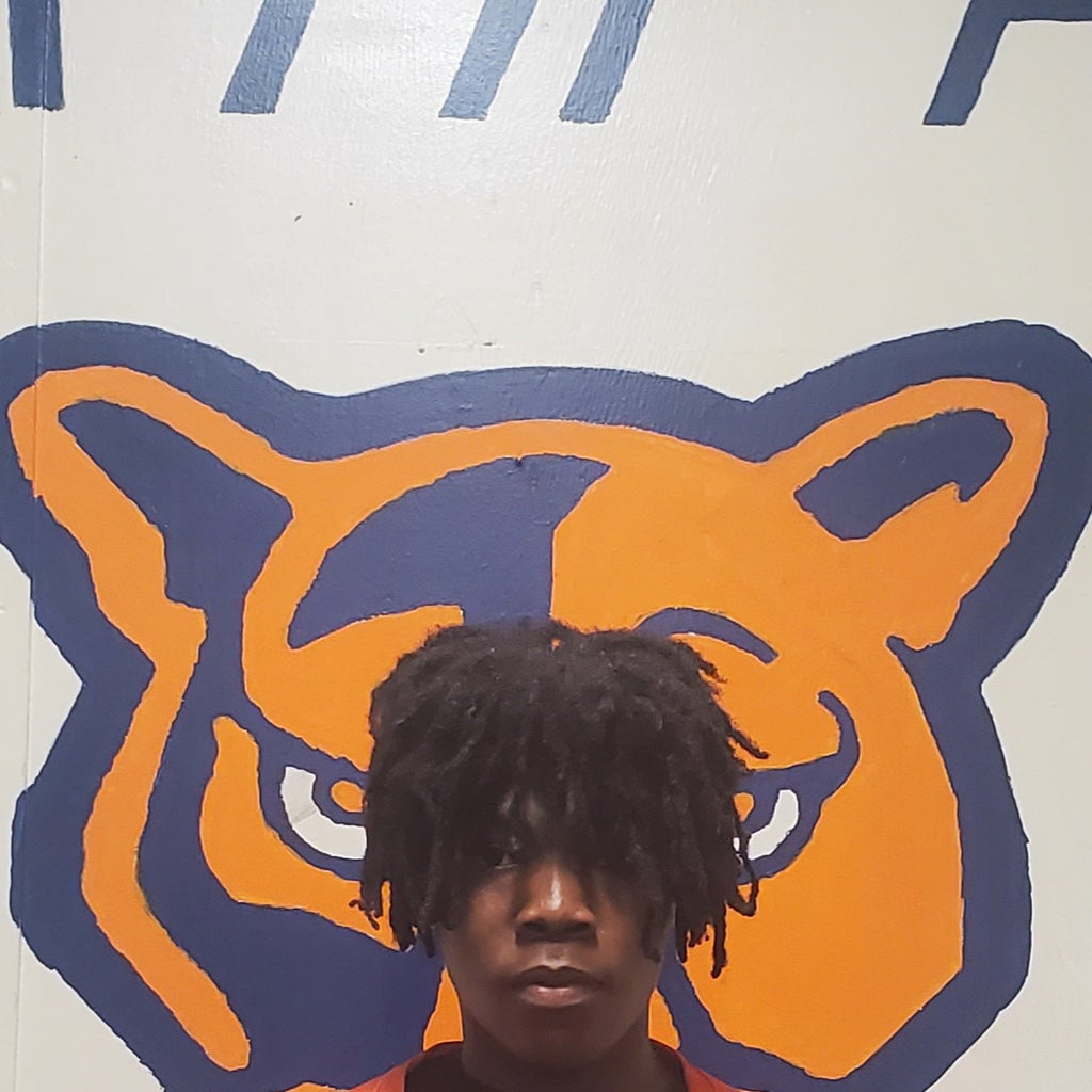 Dominic Tyson mugshot