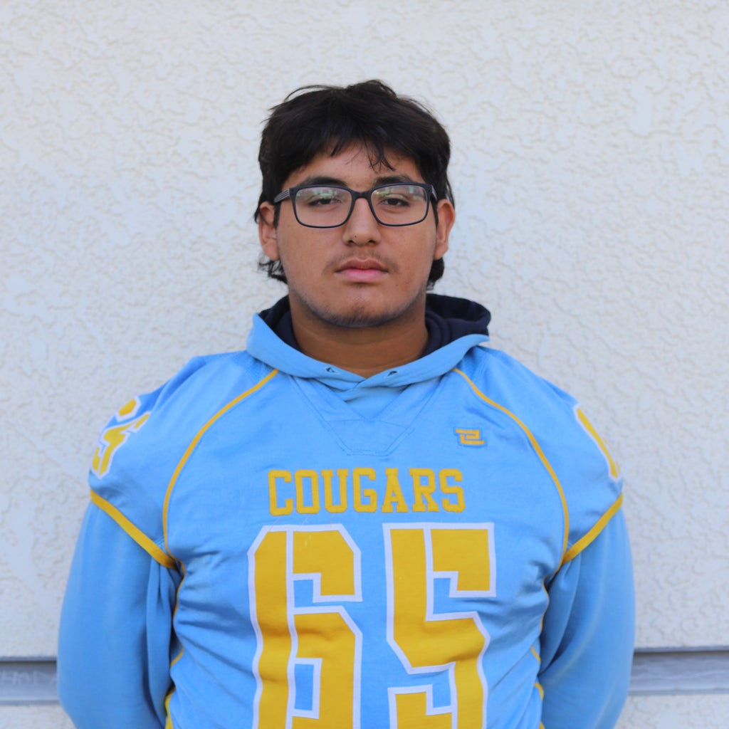 Fernando Ochoa mugshot