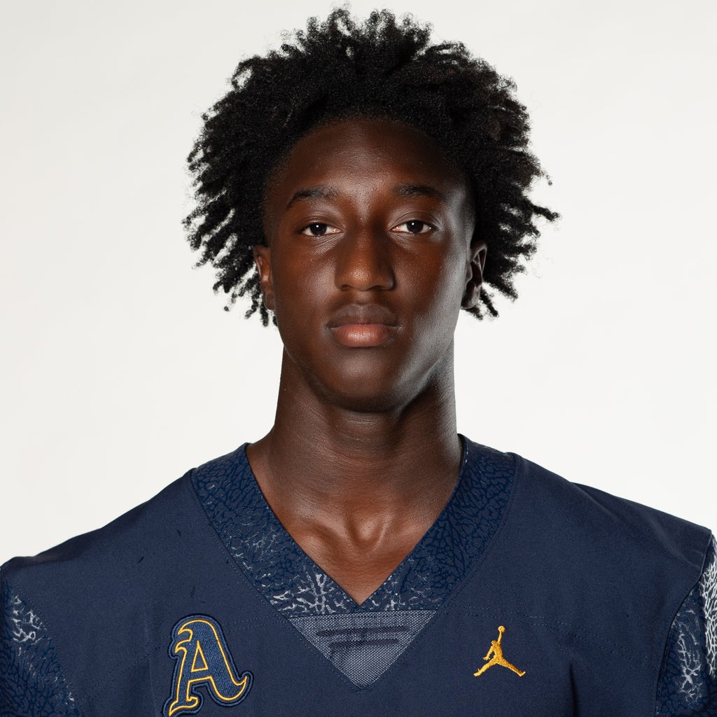 Romanas Frederique jr mugshot