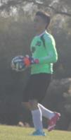 Miguel Torres