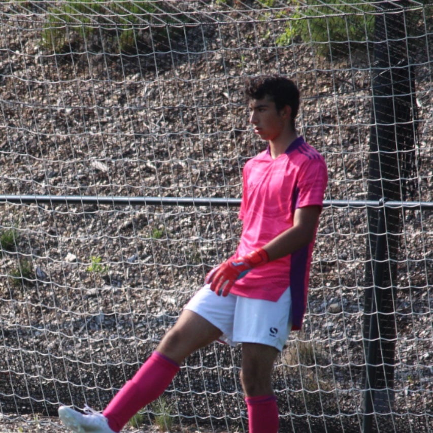 Francesco Vesci