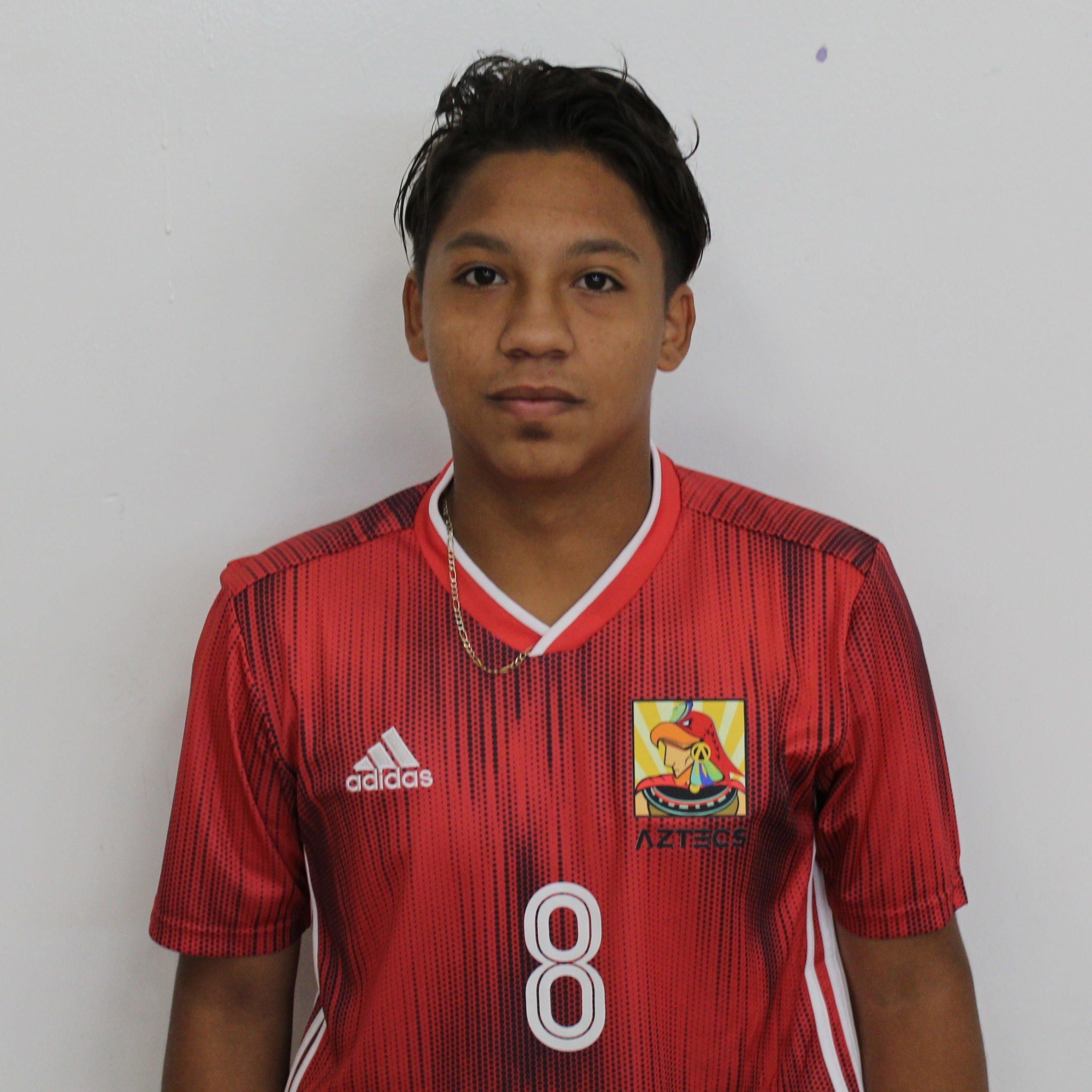 Victor Mejia mugshot