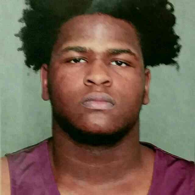 Johlonie Hudson mugshot