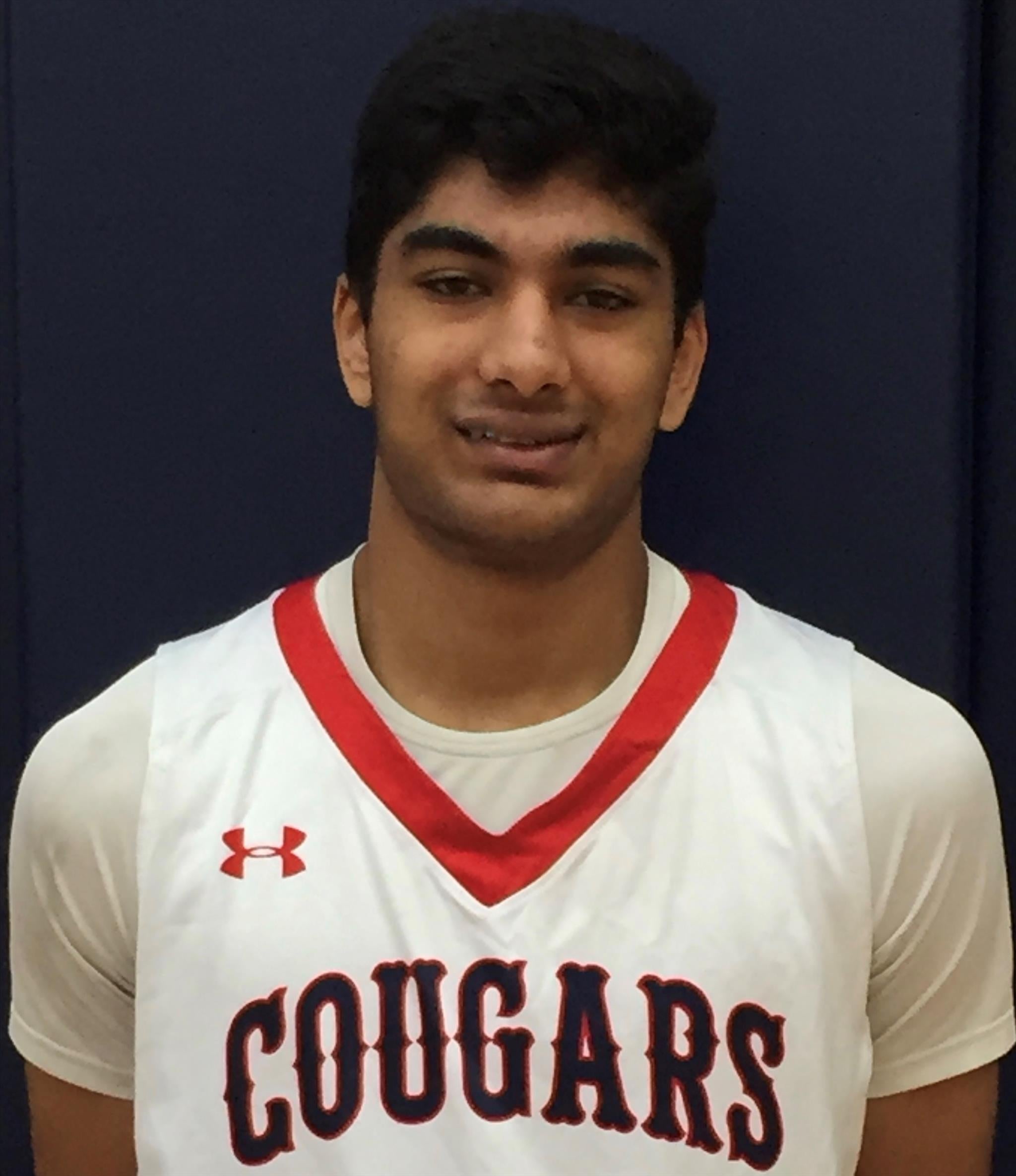 Rajat Mittal mugshot