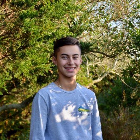 Nikolas Liapes mugshot